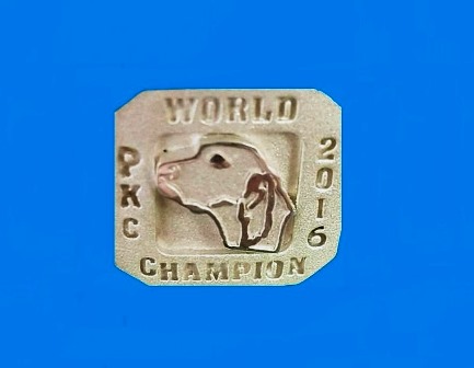 16WorldRing2